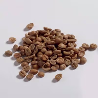 ตัวอย่าง Rubber Hosing ก่อนบดด้วยเครื่องบดตัวอย่าง FRITSCH