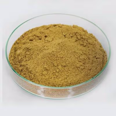 ตัวอย่าง Cookies หลังบดด้วยเครื่องบดตัวอย่าง FRITSCH