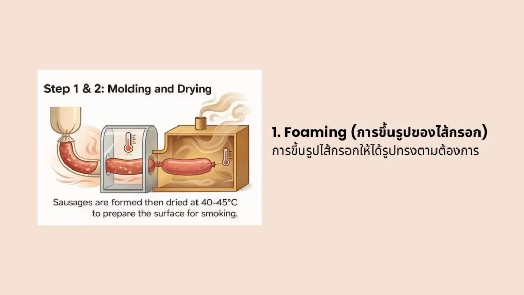 2 การวัดสีกับไส้กรอก Sausage