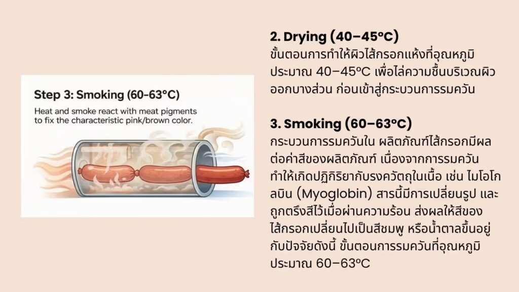 3 การวัดสีกับไส้กรอก Sausage