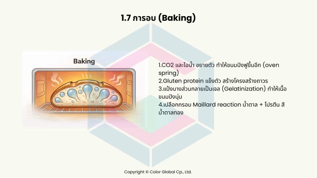 5 เครื่องวัดสีในงานขนมปัง