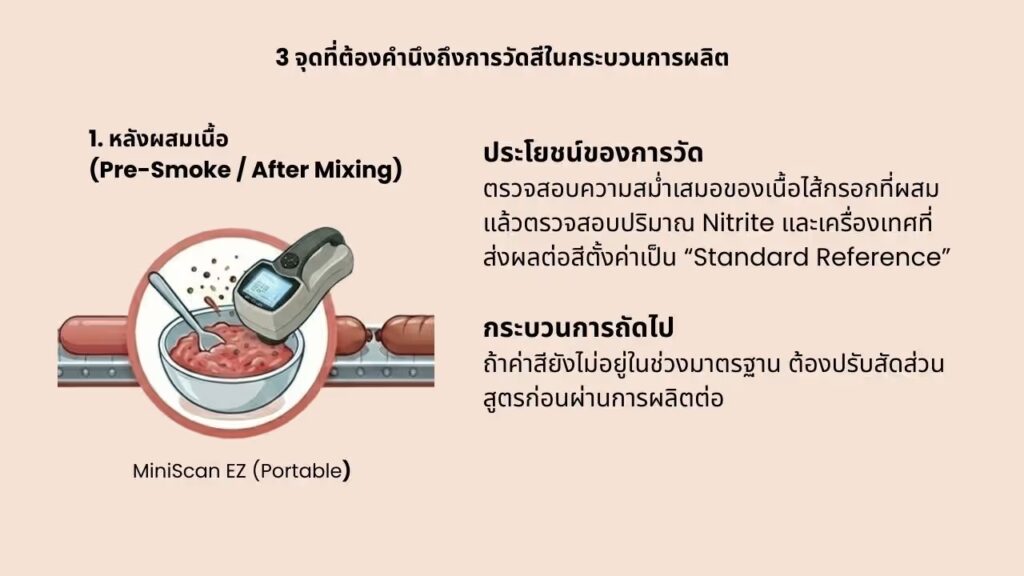 9 การวัดสีกับไส้กรอก Sausage